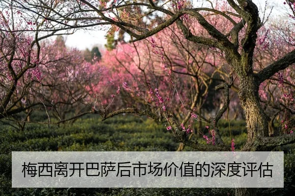 梅西离开巴萨后市场价值的深度评估